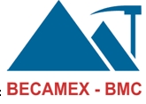 BMJ logo