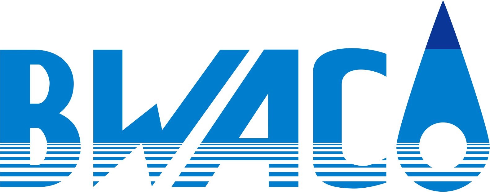 BWS logo