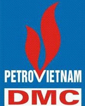 DMS logo