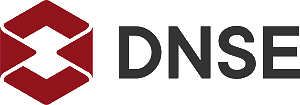DSE logo