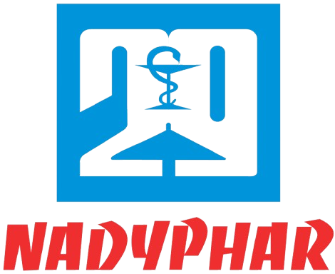 NDP logo