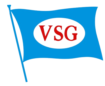 VSG logo