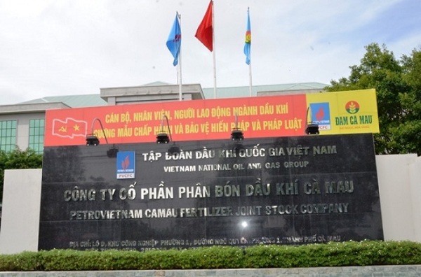 Phân bón Cà Mau sắp chi gần 1.060 tỷ đồng trả cổ tức tiền mặt 20%