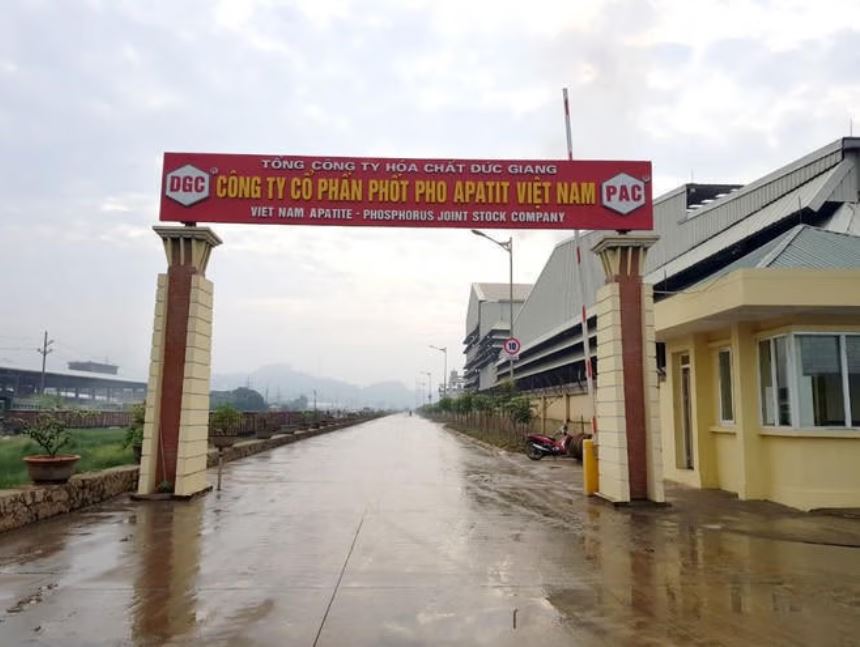 Cổ phiếu PAT được gỡ hạn chế giao dịch sau khi công bố báo cáo tài chính kiểm toán