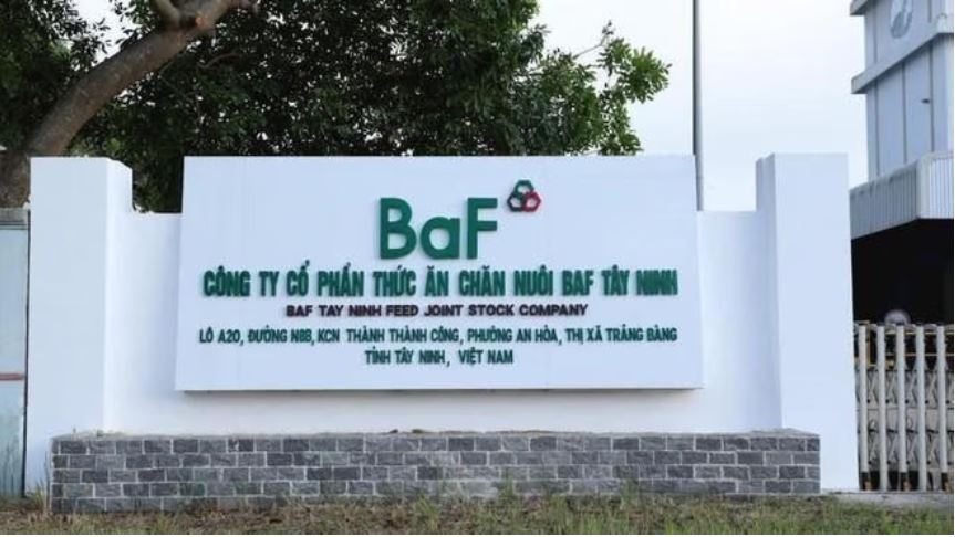 BaF Việt Nam muốn huy động gần 700 tỷ đồng từ phát hành cổ phiếu