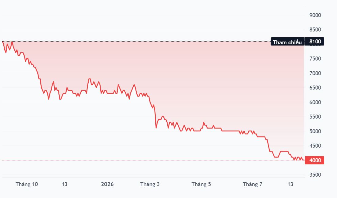 Searefico: Nợ xấu tăng 57%, hoán đổi 37,7 tỷ đồng nợ Hòa Bình lấy cổ phiếu HBC