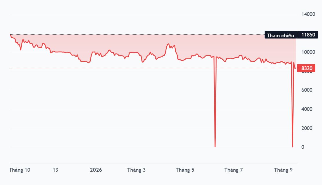 VP Invest muốn nâng sở hữu C47 lên trên 35%